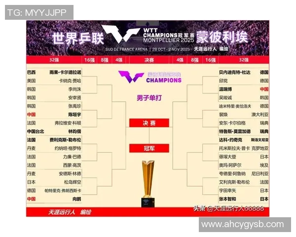 乒乓球团队协作实力排名揭晓各国队伍表现一览