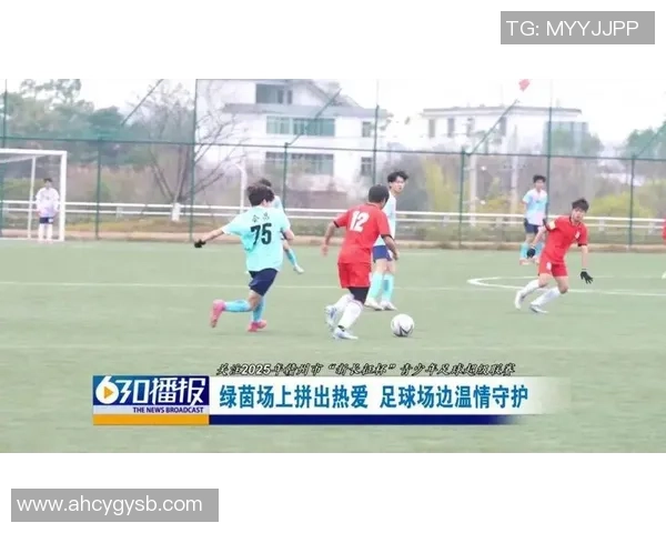 丘比特足球：爱与激情交织的绿茵场上演绎浪漫与梦想的完美结合