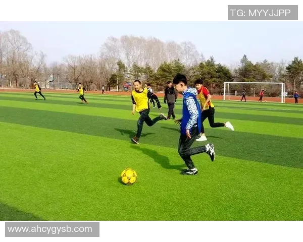 提升足球技能的全面训练计划让你在赛场上大放异彩