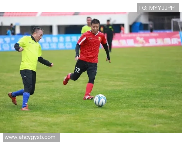 犀鸟足球：探索足球文化与激情的完美结合之旅