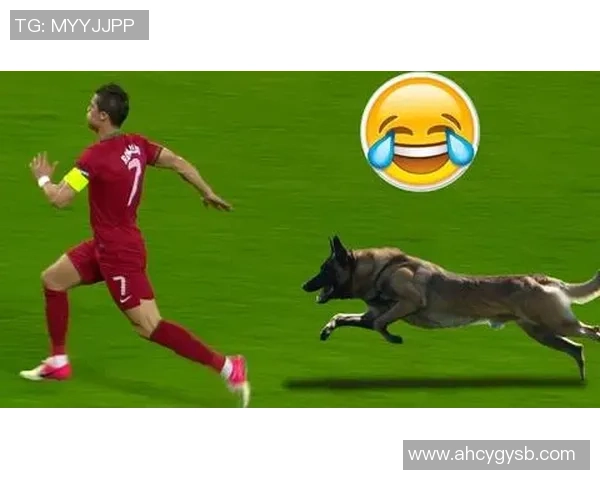 足球狗t的奇妙冒险:探索球场上的友情与挑战 足球狗t的奇妙冒险:探索球场上的友情与挑战