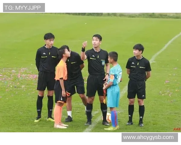 辽小虎足球崛起之路：青少年培养与职业联赛的完美结合探索