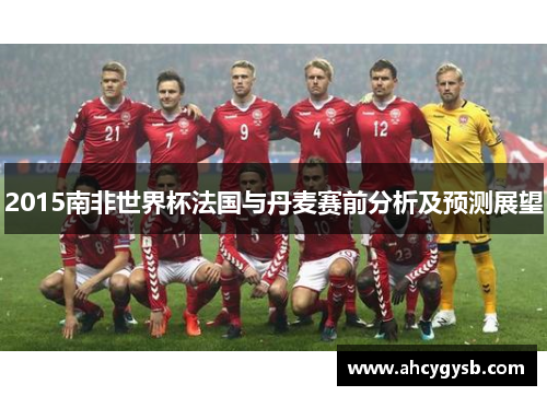 2015南非世界杯法国与丹麦赛前分析及预测展望